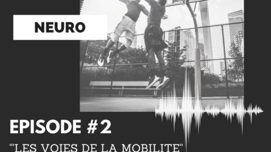 3 astuces pour progresser en mobilité